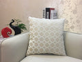 Velvet Throw Pillow Cover | Soft Sofa Cushion Case with Invisible Zipper